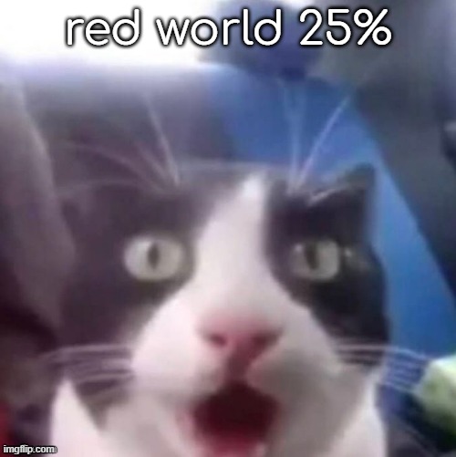 cat shocked | red world 25% | image tagged in cat shocked | made w/ Imgflip meme maker