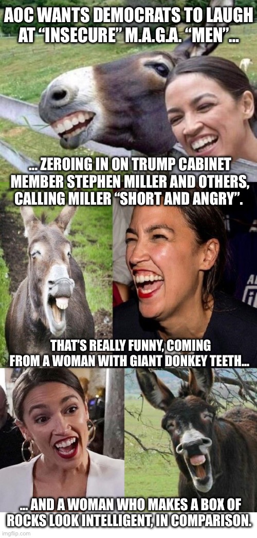 No shame or self-awareness with Demonrats… | AOC WANTS DEMOCRATS TO LAUGH AT “INSECURE” M.A.G.A. “MEN”…; … ZEROING IN ON TRUMP CABINET MEMBER STEPHEN MILLER AND OTHERS, CALLING MILLER “SHORT AND ANGRY”. THAT’S REALLY FUNNY, COMING FROM A WOMAN WITH GIANT DONKEY TEETH…; … AND A WOMAN WHO MAKES A BOX OF ROCKS LOOK INTELLIGENT, IN COMPARISON. | image tagged in political meme,crazy aoc,ridiculous,donkey teeth,dumb as a box of rocks,shameless | made w/ Imgflip meme maker