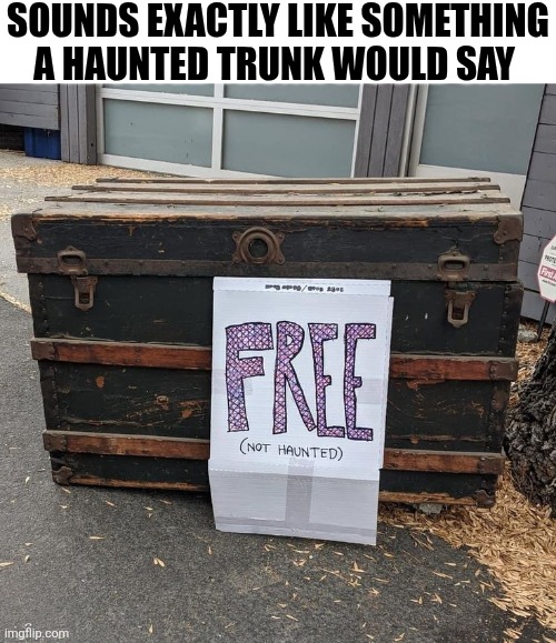 Sounds Exactly Like Something A Haunted Trunk Would Say | SOUNDS EXACTLY LIKE SOMETHING A HAUNTED TRUNK WOULD SAY | image tagged in chrisjoines1 | made w/ Imgflip meme maker