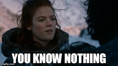 ygritte you know nothing | YOU KNOW NOTHING | image tagged in ygritte you know nothing,reactions | made w/ Imgflip meme maker