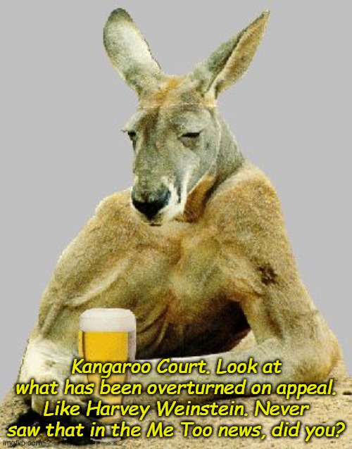 Cool Kangaroo | Kangaroo Court. Look at what has been overturned on appeal. Like Harvey Weinstein. Never saw that in the Me Too news, did you? | image tagged in cool kangaroo | made w/ Imgflip meme maker