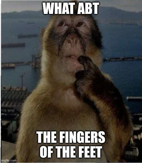 thinking monkey | WHAT ABT; THE FINGERS OF THE FEET | image tagged in thinking monkey | made w/ Imgflip meme maker