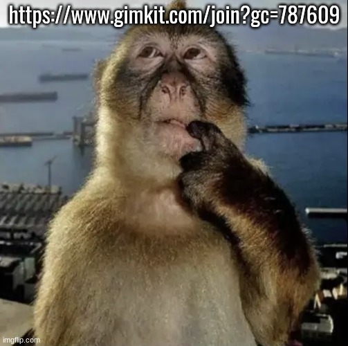 monkey thinking | https://www.gimkit.com/join?gc=787609 | image tagged in monkey thinking | made w/ Imgflip meme maker