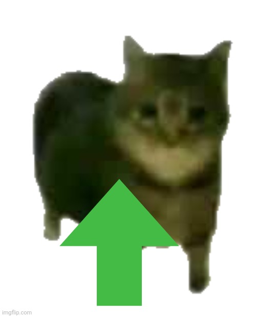 oiiaoiia | image tagged in oiiaoiia | made w/ Imgflip meme maker