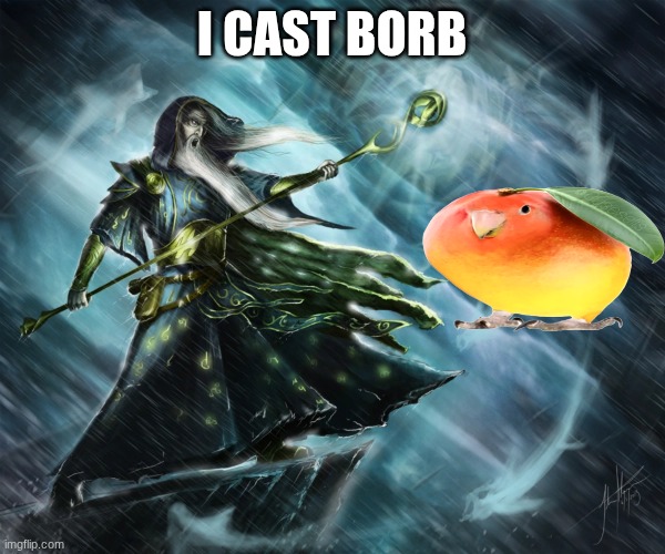 I CAST BORB | made w/ Imgflip meme maker