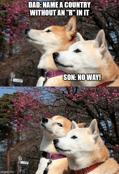 Bad pun dogs | DAD: NAME A COUNTRY WITHOUT AN "R" IN IT; SON: NO WAY! | image tagged in bad pun dogs | made w/ Imgflip meme maker