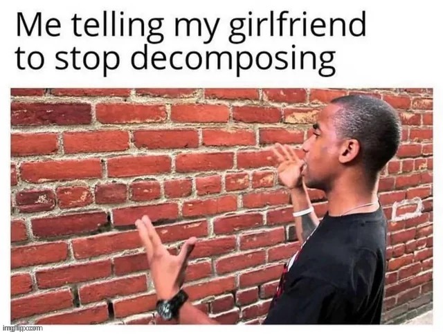 image tagged in brick wall | made w/ Imgflip meme maker