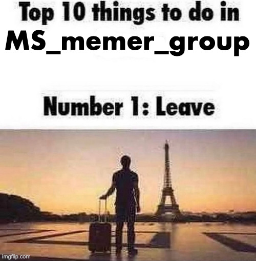 Top 10 things to do in blank | MS_memer_group | image tagged in top 10 things to do in blank | made w/ Imgflip meme maker