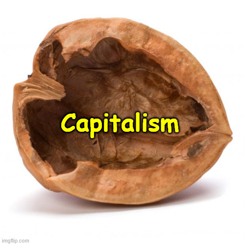 Nutshell | Capitalism | image tagged in nutshell | made w/ Imgflip meme maker