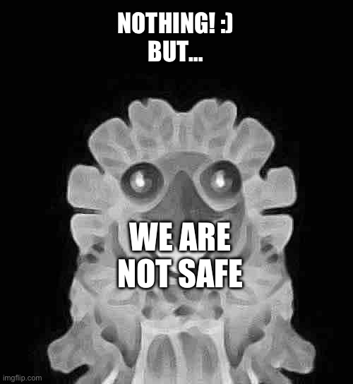 NOTHING! :)

BUT… WE ARE NOT SAFE | made w/ Imgflip meme maker
