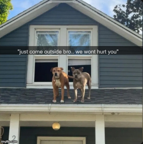 "just come outside bro.. we wont hurt you" | made w/ Imgflip meme maker
