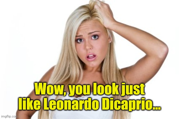Dumb Blonde | Wow, you look just like Leonardo Dicaprio... | image tagged in dumb blonde | made w/ Imgflip meme maker