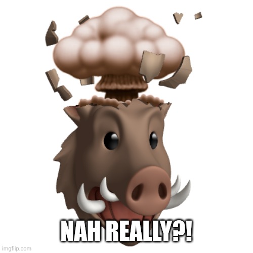 Boar Head explode | NAH REALLY?! | image tagged in boar head explode | made w/ Imgflip meme maker