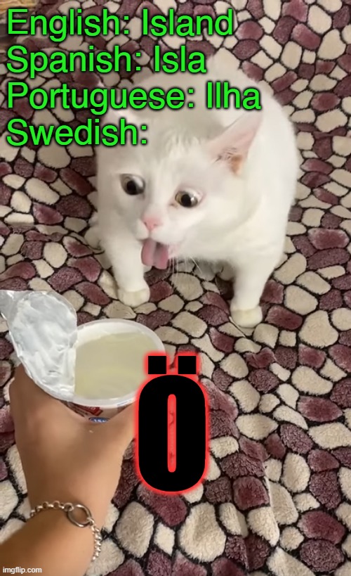 Ö | English: Island
Spanish: Isla
Portuguese: Ilha
Swedish:; Ö | image tagged in white cat sour cream throw up / vomit | made w/ Imgflip meme maker
