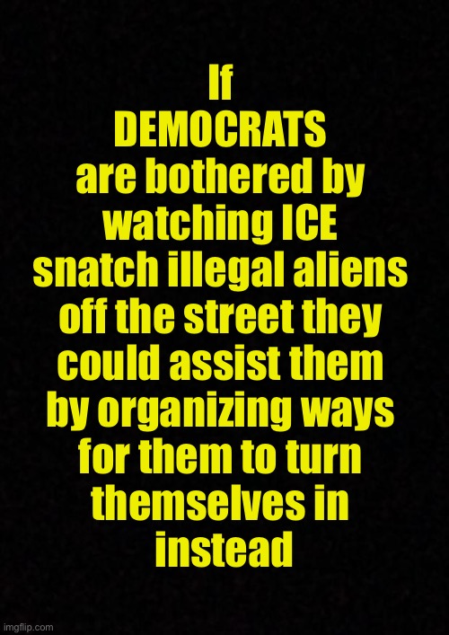 Just sayin’ | If 
DEMOCRATS 
are bothered by 
watching ICE 
snatch illegal aliens 
off the street they 
could assist them 
by organizing ways 
for them to turn 
themselves in 
instead | image tagged in blank | made w/ Imgflip meme maker