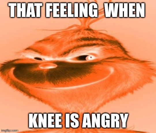 knee surgery | THAT FEELING  WHEN; KNEE IS ANGRY | image tagged in grinch | made w/ Imgflip meme maker