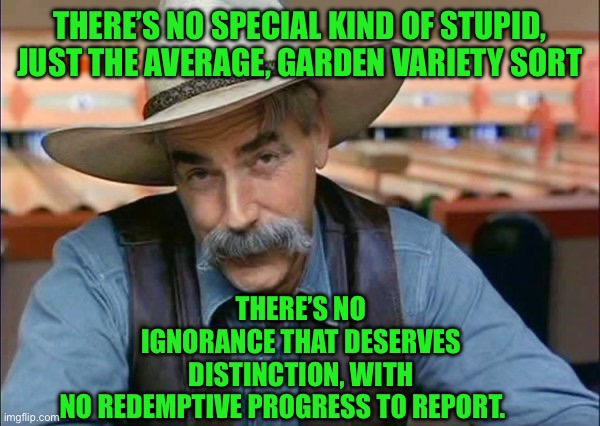 Sam Elliott special kind of stupid | THERE’S NO IGNORANCE THAT DESERVES DISTINCTION, WITH NO REDEMPTIVE PROGRESS TO REPORT. THERE’S NO SPECIAL KIND OF STUPID, JUST THE AVERAGE, GARDEN VARIETY SORT | image tagged in sam elliott special kind of stupid | made w/ Imgflip meme maker