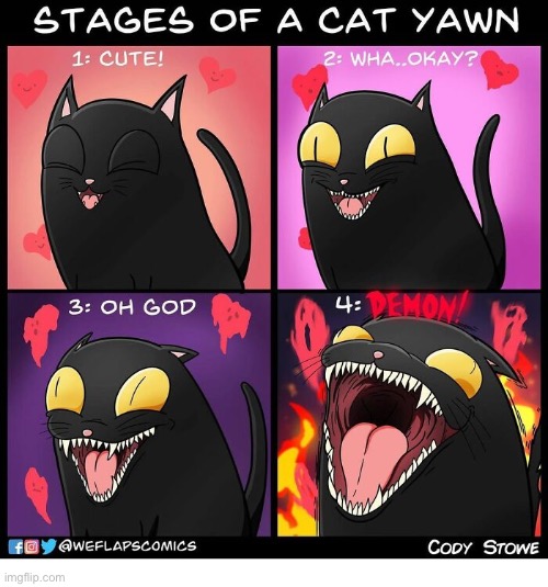 Bwahahahahaha! | image tagged in cats,comics,weflaps,coral,cat yawns,stages | made w/ Imgflip meme maker
