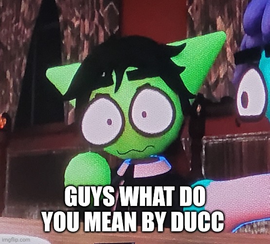 the fucking | GUYS WHAT DO YOU MEAN BY DUCC | image tagged in the fucking | made w/ Imgflip meme maker