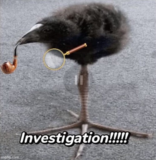 image tagged in investigation | made w/ Imgflip meme maker