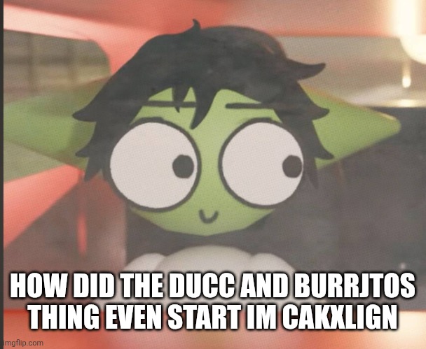 the goddamn C: | HOW DID THE DUCC AND BURRJTOS THING EVEN START IM CAKXLIGN | image tagged in the goddamn c | made w/ Imgflip meme maker