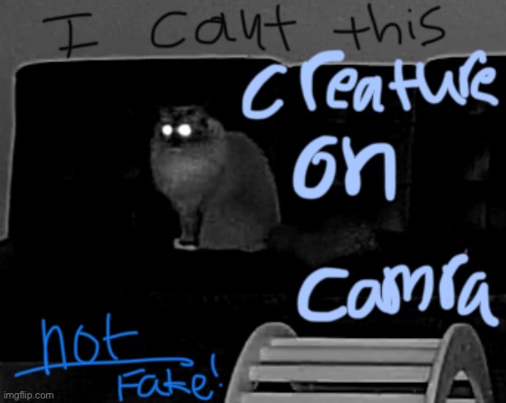 I found this thing my sister made with my cat on the family ipad | made w/ Imgflip meme maker