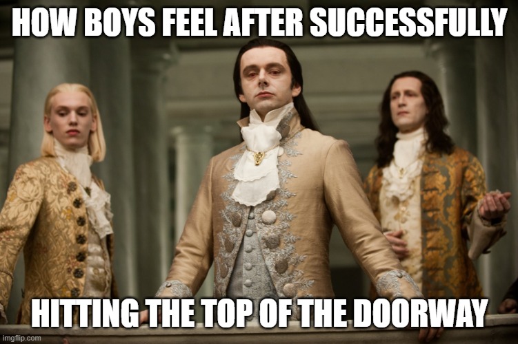. | HOW BOYS FEEL AFTER SUCCESSFULLY; HITTING THE TOP OF THE DOORWAY | image tagged in guy looking down at people | made w/ Imgflip meme maker