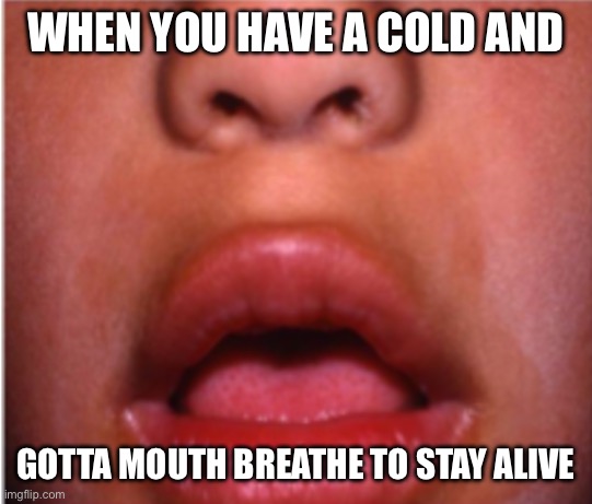 Me right now | WHEN YOU HAVE A COLD AND; GOTTA MOUTH BREATHE TO STAY ALIVE | image tagged in mouth breather,relatable | made w/ Imgflip meme maker