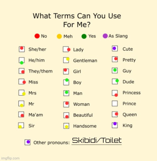Pronouns Sheet | Skibidi/Toilet | image tagged in pronouns sheet | made w/ Imgflip meme maker