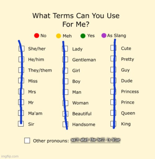 Pronouns Sheet | wait what the hell is blue | image tagged in pronouns sheet | made w/ Imgflip meme maker