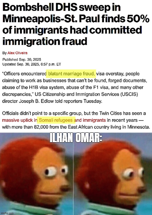 She prob informed Somalia about the procedure as that's who she claims to work for. So, a lengthy prison sentence or deportation | ILHAN OMAR: | image tagged in illegal immigration,fraud,crime,feel guilty,american politics | made w/ Imgflip meme maker