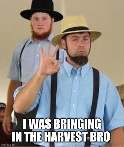 I WAS BRINGING IN THE HARVEST BRO | image tagged in amish approved | made w/ Imgflip meme maker