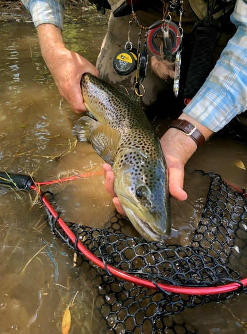 Fly Fishing | made w/ Imgflip meme maker