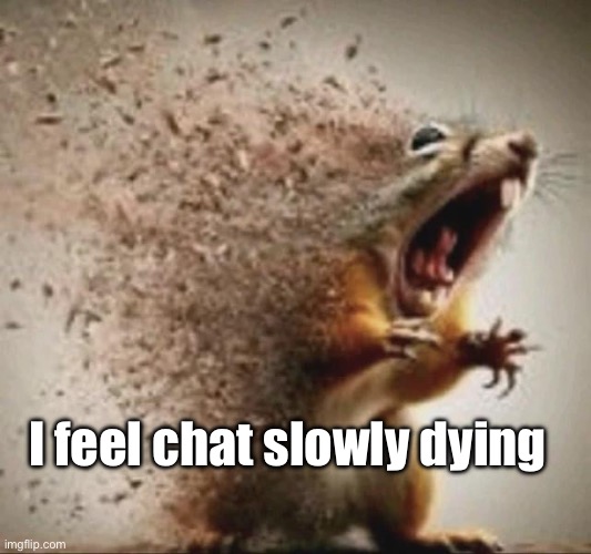 badass squirrel disintegrating | I feel chat slowly dying | made w/ Imgflip meme maker