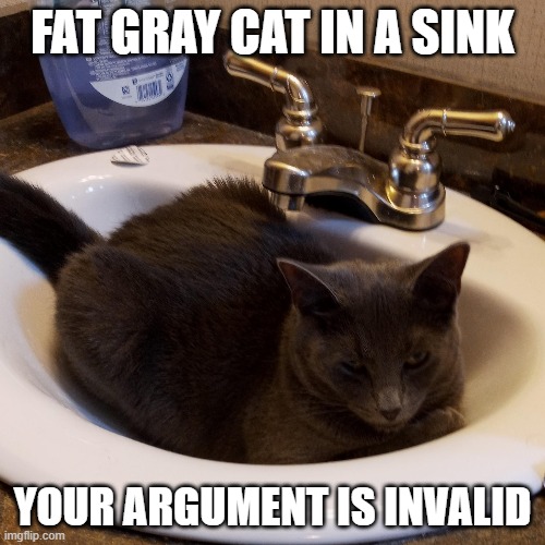 FAT GRAY CAT IN A SINK; YOUR ARGUMENT IS INVALID | image tagged in memes,cats,gray cat,your argument is invalid,fat cat | made w/ Imgflip meme maker