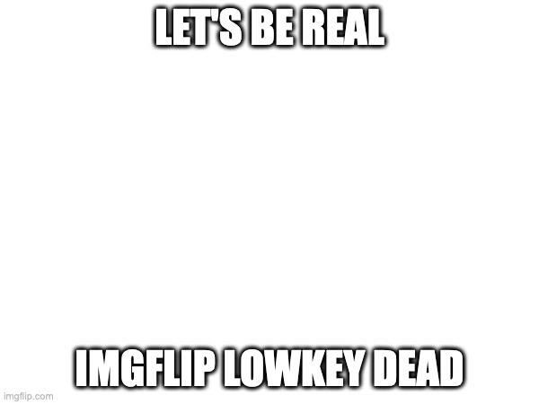 LET'S BE REAL; IMGFLIP LOWKEY DEAD | image tagged in imgflip | made w/ Imgflip meme maker