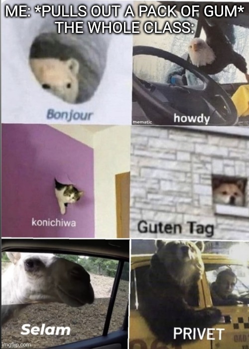 I'm cooked bro....... | ME: *PULLS OUT A PACK OF GUM*
THE WHOLE CLASS: | image tagged in bonjour howdy konichiwa guten tag selam privet | made w/ Imgflip meme maker