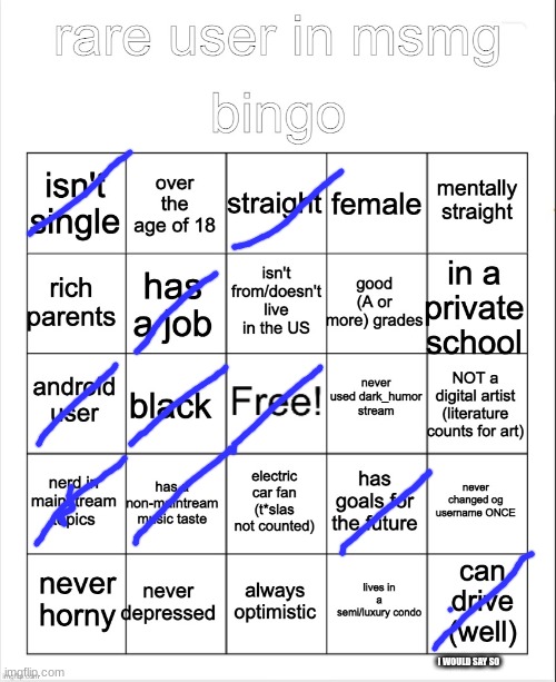 not a shitposter bingo | I WOULD SAY SO | image tagged in not a shitposter bingo | made w/ Imgflip meme maker