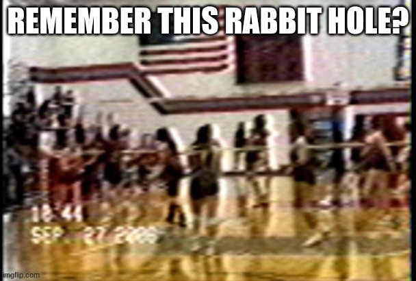 the "2006 volleyball incident" | REMEMBER THIS RABBIT HOLE? | image tagged in wtf,volleyball,2000s | made w/ Imgflip meme maker