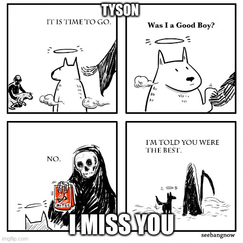 Was I A Good Boy? | TYSON; I MISS YOU | image tagged in was i a good boy | made w/ Imgflip meme maker