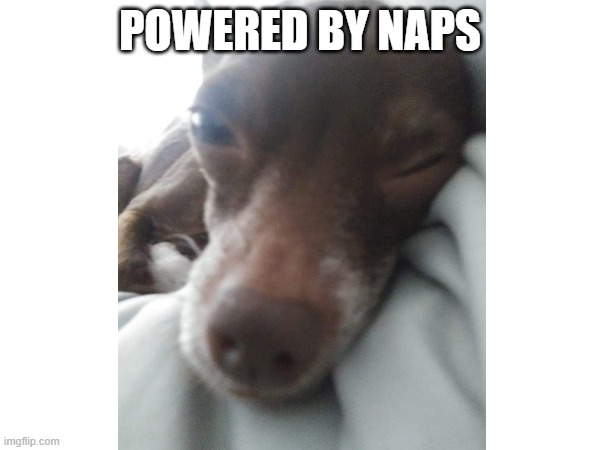 Coffee - Powered by Naps | POWERED BY NAPS | image tagged in dogs,cute dogs,chihuahua | made w/ Imgflip meme maker