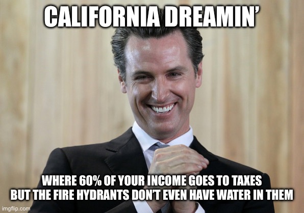Scheming Gavin Newsom  | CALIFORNIA DREAMIN’; WHERE 60% OF YOUR INCOME GOES TO TAXES BUT THE FIRE HYDRANTS DON’T EVEN HAVE WATER IN THEM | image tagged in scheming gavin newsom | made w/ Imgflip meme maker