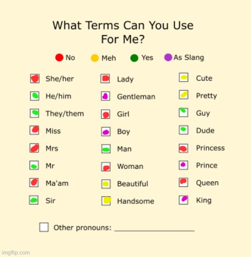 Pronouns Sheet | image tagged in pronouns sheet | made w/ Imgflip meme maker
