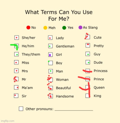 Pronouns Sheet | image tagged in pronouns sheet | made w/ Imgflip meme maker