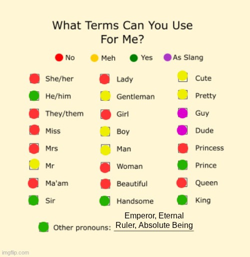 Pronouns Sheet | Emperor, Eternal Ruler, Absolute Being | image tagged in pronouns sheet | made w/ Imgflip meme maker