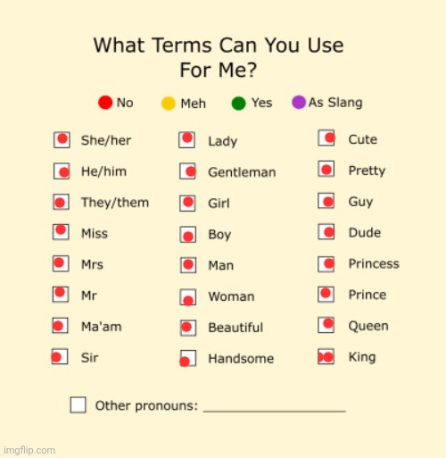 Pronouns Sheet | image tagged in pronouns sheet | made w/ Imgflip meme maker