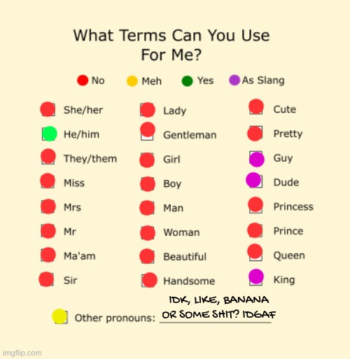 Pronouns Sheet | IDK, LIKE, BANANA OR SOME SHIT? IDGAF | image tagged in pronouns sheet | made w/ Imgflip meme maker
