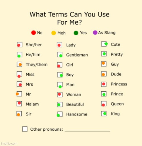 Pronouns Sheet | image tagged in pronouns sheet | made w/ Imgflip meme maker