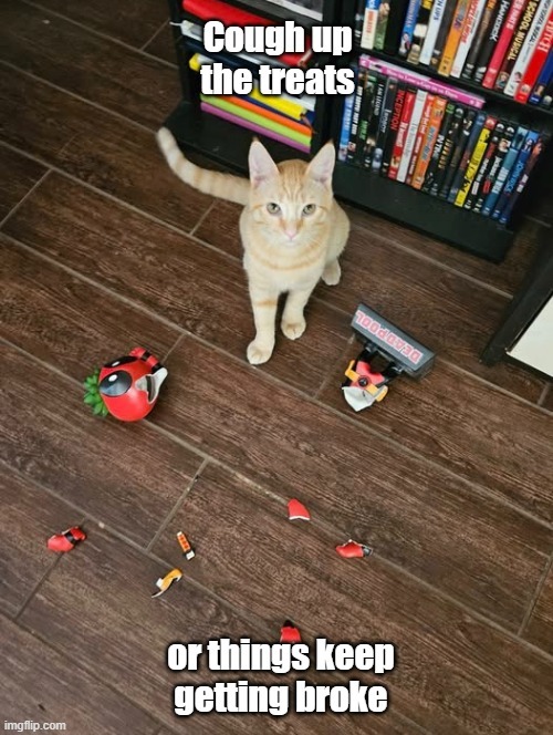 Mafia Cat | image tagged in cats,cat,funny cats,cat memes,business cat | made w/ Imgflip meme maker