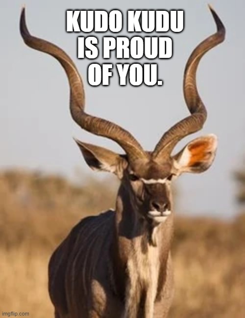 Kudo Kudu | KUDO KUDU
IS PROUD
OF YOU. | image tagged in kudos,funny animals | made w/ Imgflip meme maker